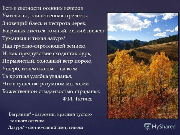 Стих есть в светлости осенних вечеров