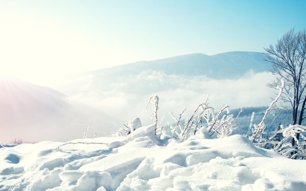 Зимний пейзаж