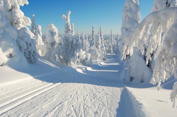 Снежная зима