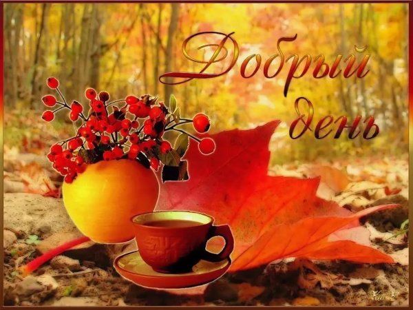 Прекрасного осеннего дня