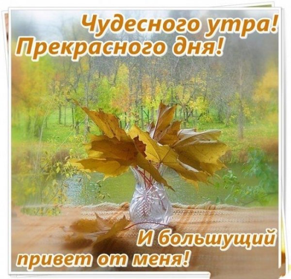 Хорошего осеннего дня и отличного настроения