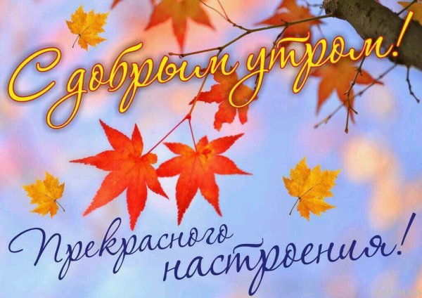 Добрый день осень