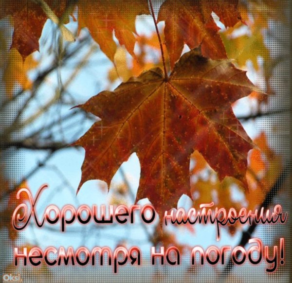 Доброго ноябрьского дня