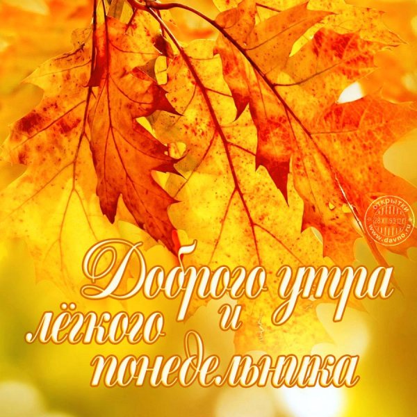 С добрым осенним утром
