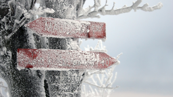 Необычная зима