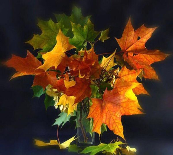 Букет осенних листьев