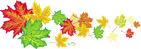 Осенние листья 1 сентября