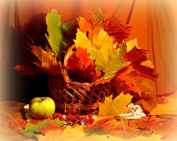 Натюрморт осенний