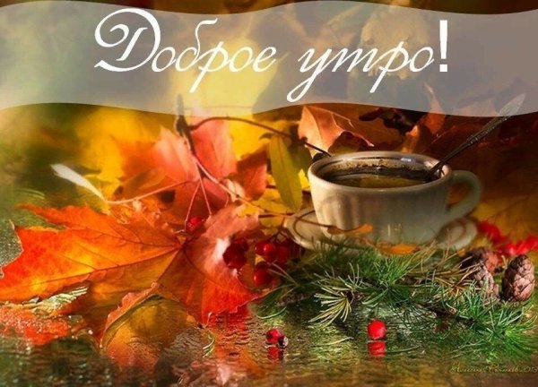 Доброе Воскресное осеннее утро