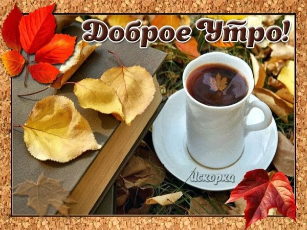 Доброго осеннего утра и хорошего настроения
