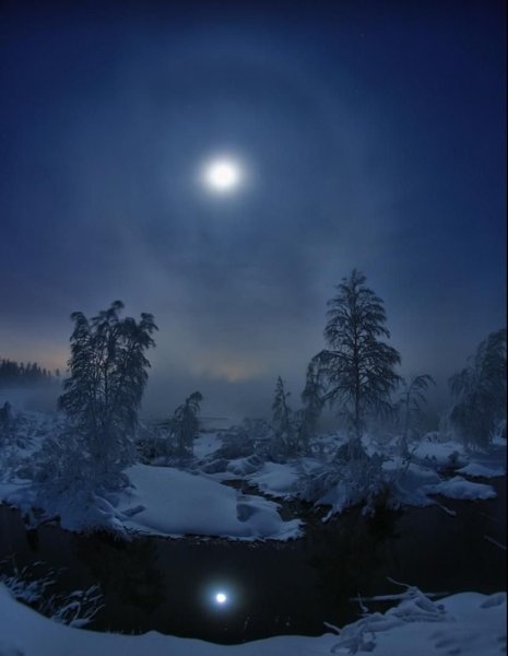 Лунная зимняя ночь