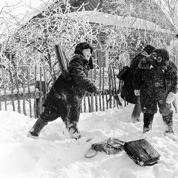 Всеволод Тарасевич зима