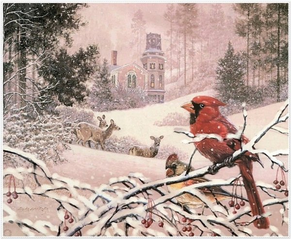 Художник Douglas r. Laird Рождество
