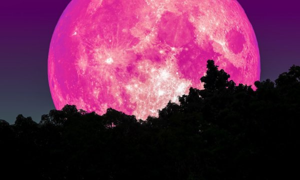 Розовая Луна суперлуние
