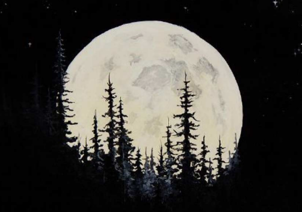 Ночной лес силуэт