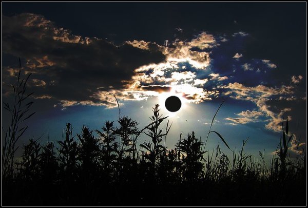 Затмение в природе