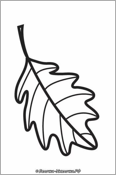 Листочки раскраска для детей