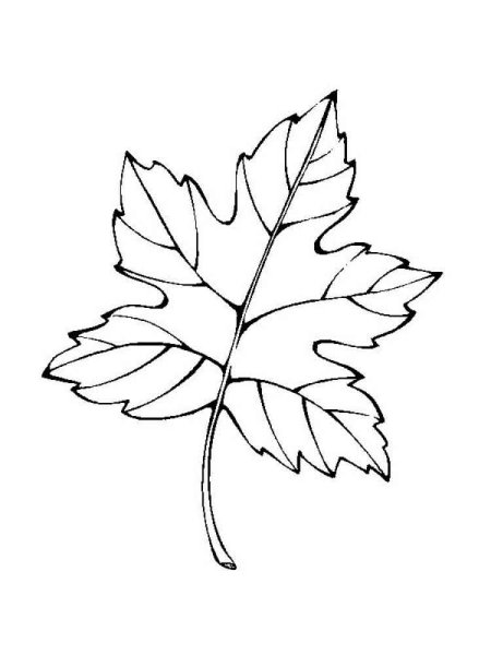 Фото по запросу Листья осень рисунок