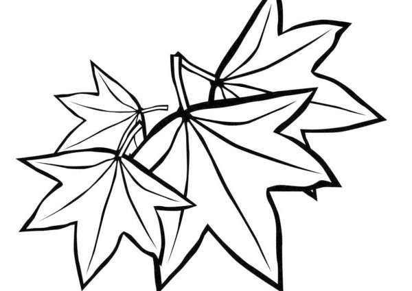 Кленовый лист раскраска