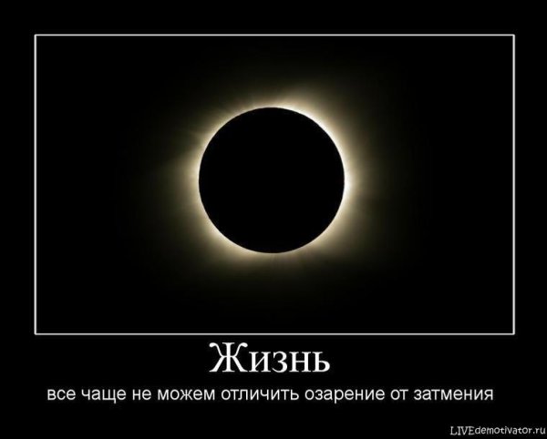 Затмение юмор