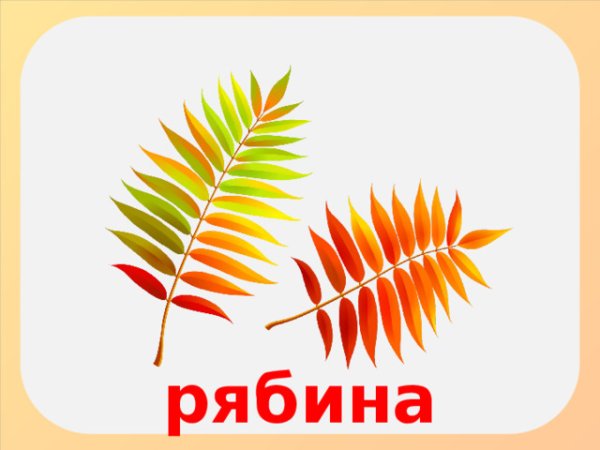 Осенние листочки с названиями