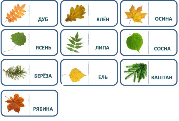 Листья деревьев для детей