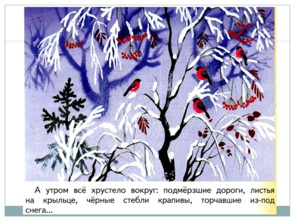 Паустовский первый зимний день