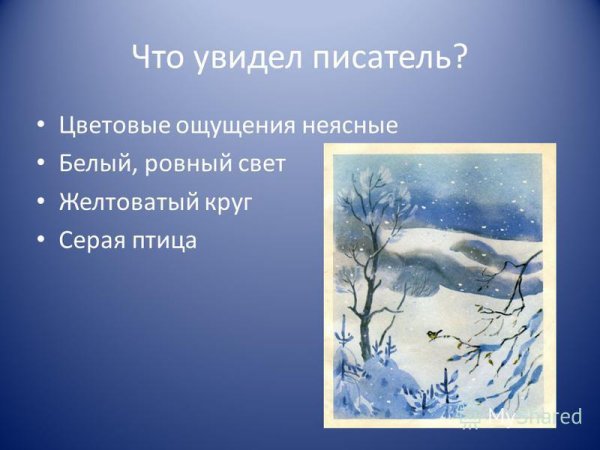 К Г Паустовский первый снег