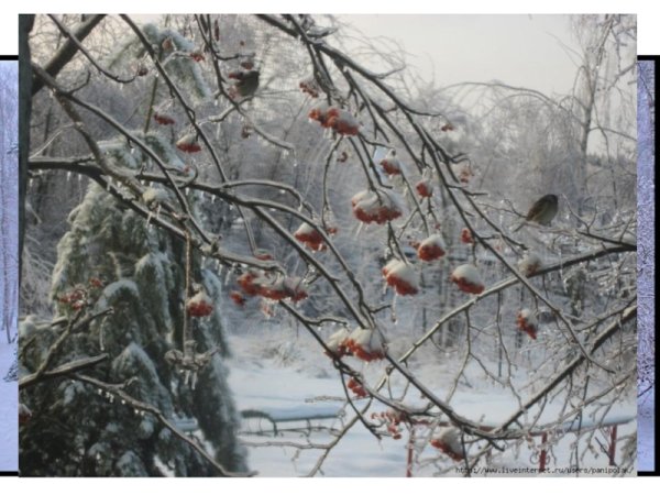 К Г Паустовский первый снег