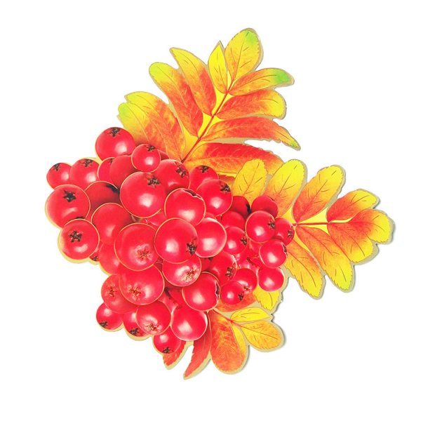 Осенние листья для украшения