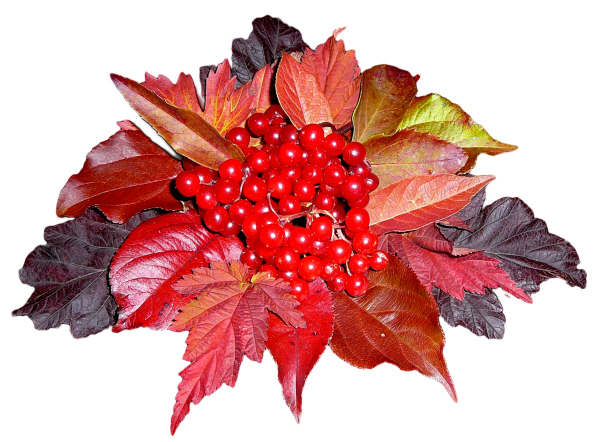 Осенний букет