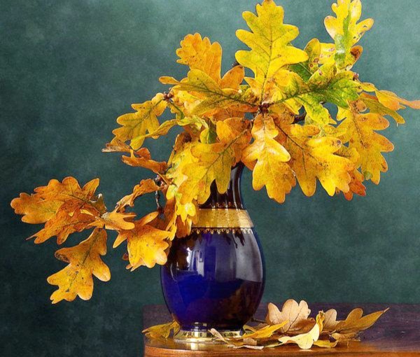 Букет осенних листьев