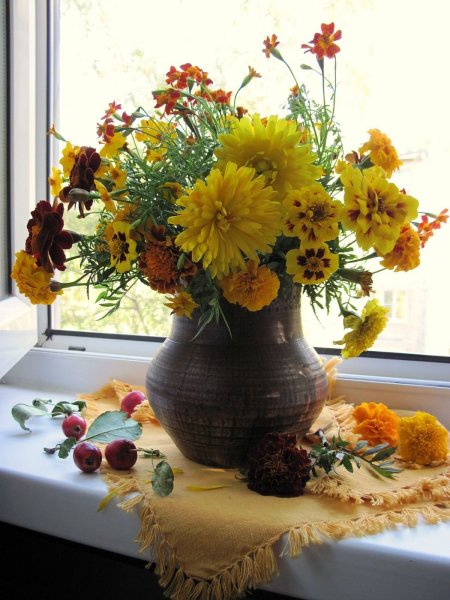 Натюрморт хризантемы бархатцы астры