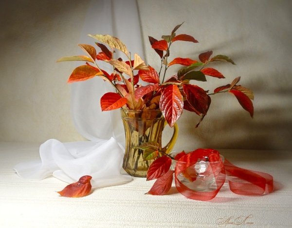 Осенние листья в вазе