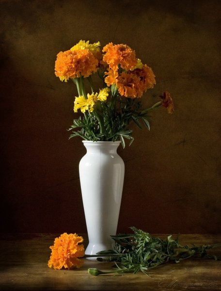 Цветы бархатцы букет