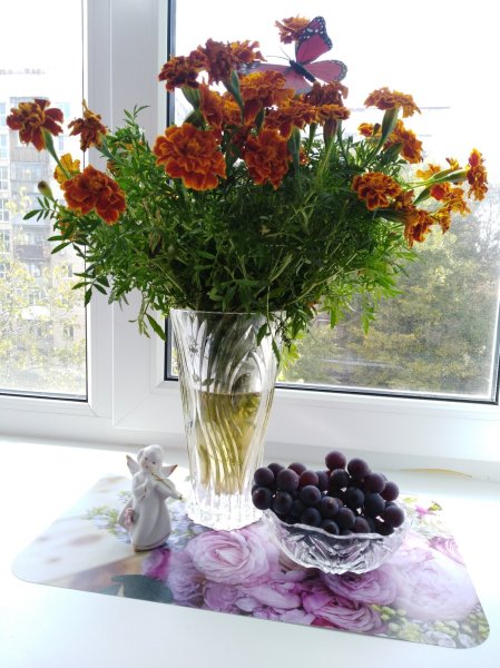 Бархатцы букет