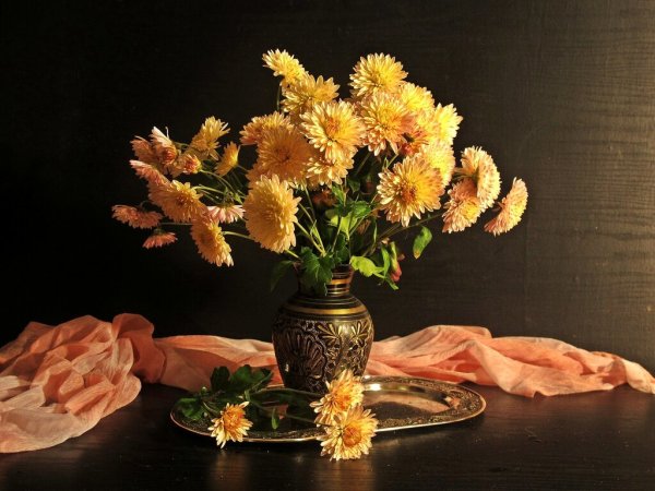 Хризантемы в вазе