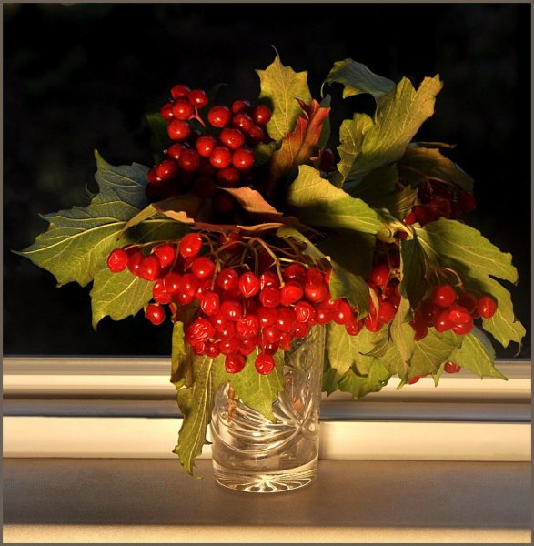 Букеты из калины и рябины