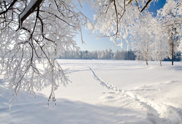 Белоснежная зима