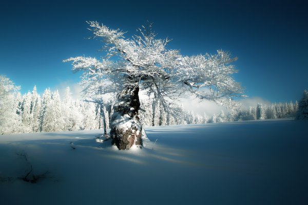 Зима пейзаж