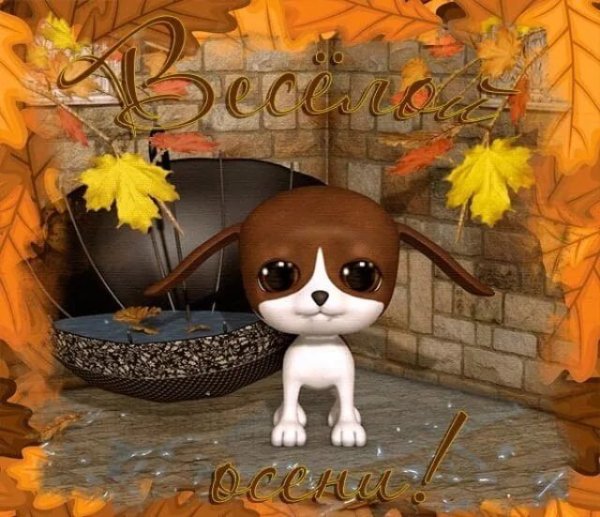 Здравствуй осень прикольные