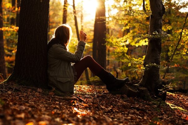 Человек в лесу