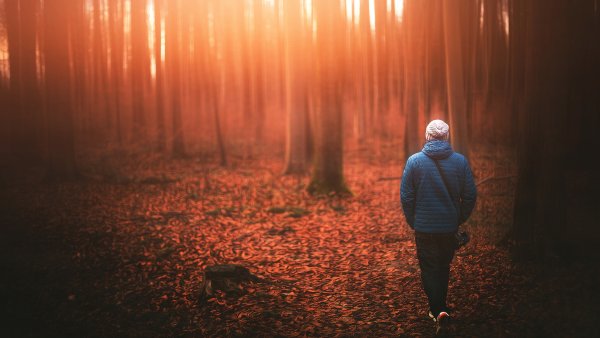 Человек в осеннем лесу