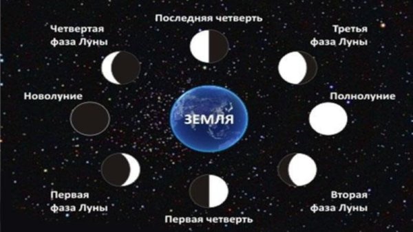Зарисовать фазы Луны