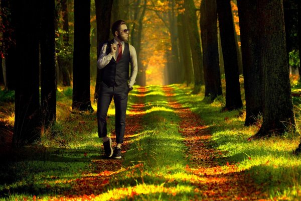 Человек в лесу