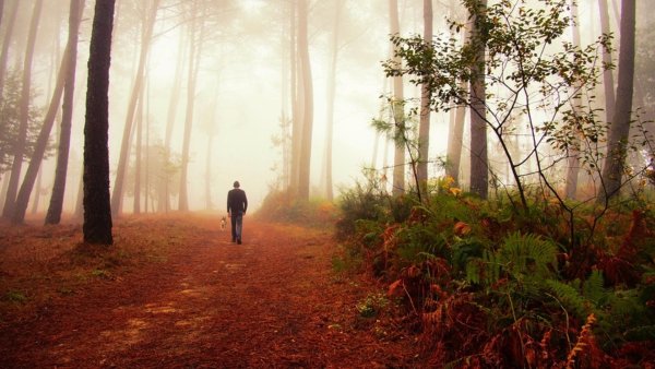 Осень одиночество