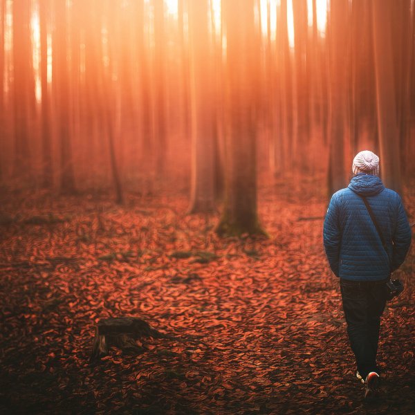 Мужчина в осеннем лесу