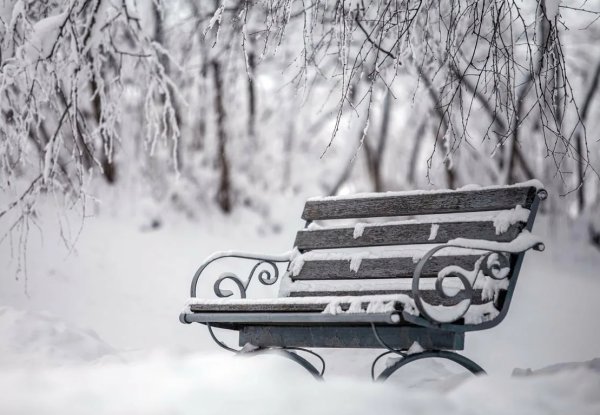 Лавочка зимой
