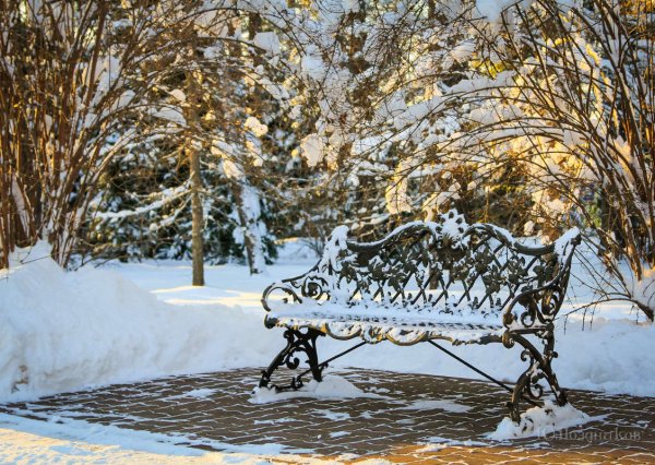 Екатерининский парк скамейки