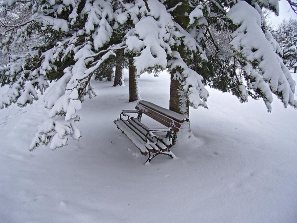Лавочка под снегом